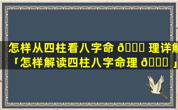 怎样从四柱看八字命 🐎 理详解「怎样解读四柱八字命理 🐞 」